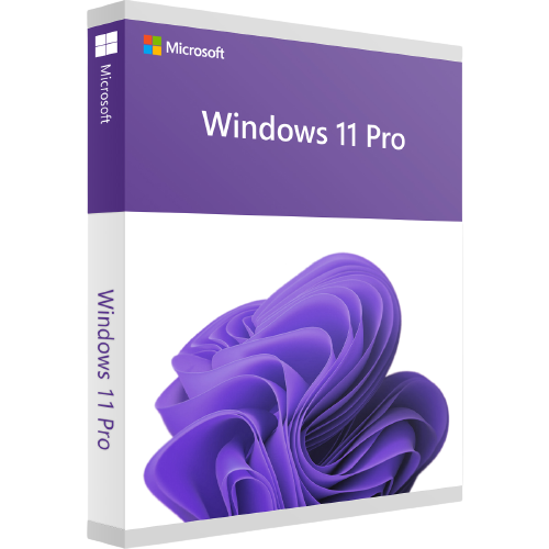 Microsoft Windows 11 Professional